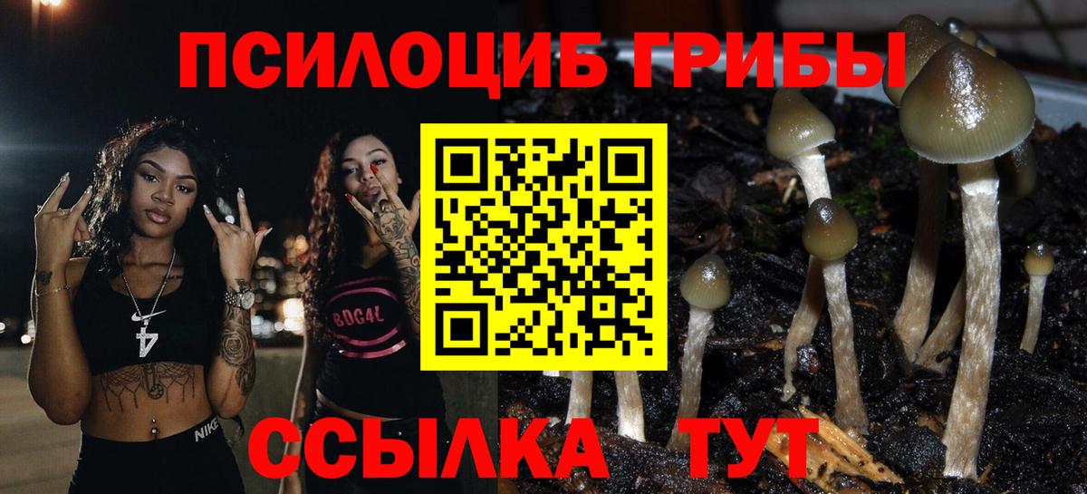 Краснокаменск  Псилоцибиновые грибы прущие грибы  Вход с VPN  Псилоцибиновые грибы Magic Shrooms 